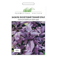 Базилік Темний опал фіолетовий  0,5 г Професійне насіння