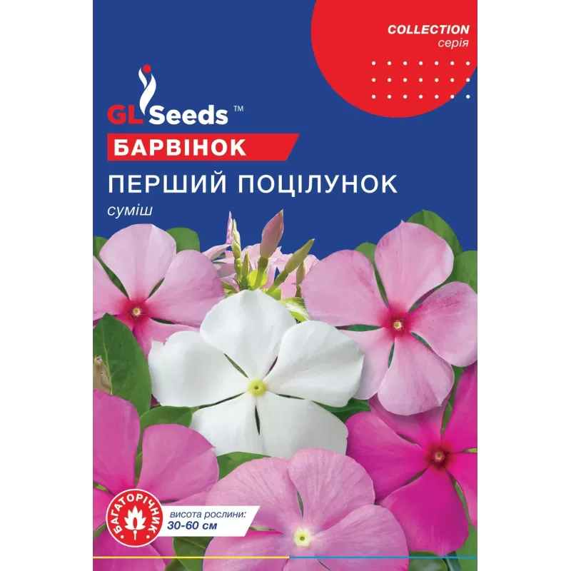 Барвінок Перший поцілунок 0,1г  GL Seeds