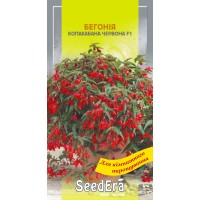 Бегонія Копакабана червона 5шт SeedEra