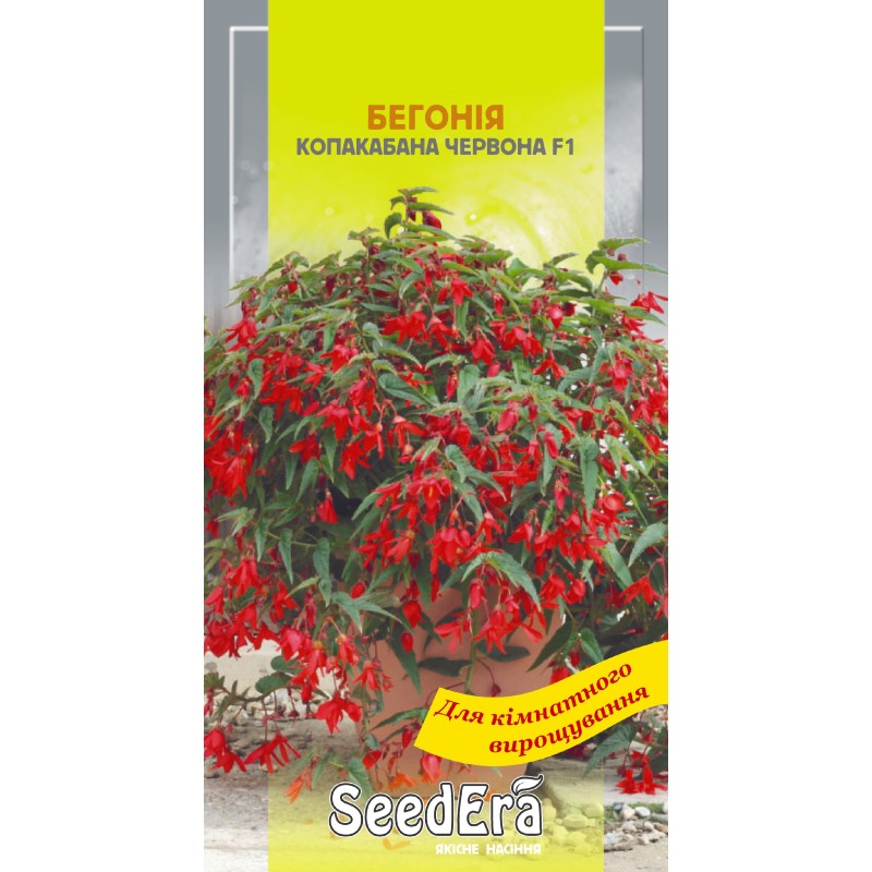 Бегонія Копакабана червона 5шт SeedEra