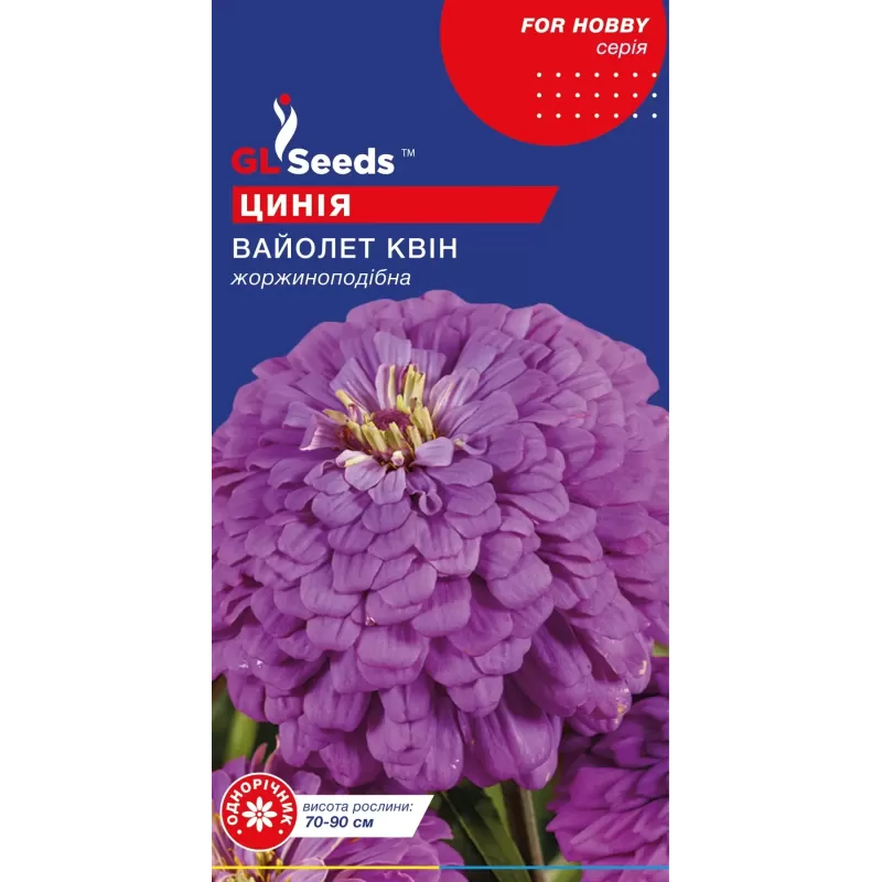 Цинія Вайолет Квін 0,5г  GL Seeds