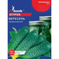 Огірок Вересень 5г GL Seeds