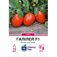Томат Галілея 10шт  Спектр Сад