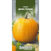 Гарбуз Данка Полька 10шт SeedEra