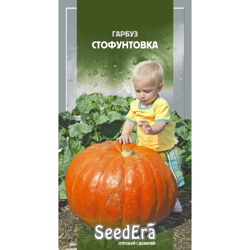 Гарбуз Стофунтовка 3г SeedEra