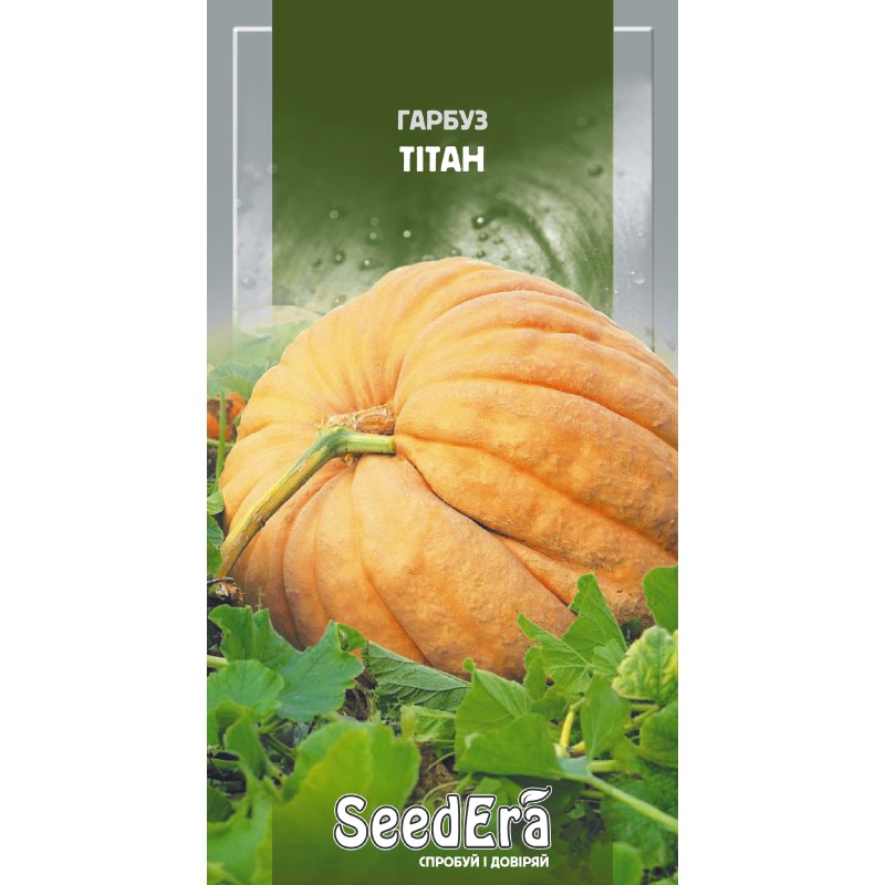 Гарбуз Тітан 2г SeedEra