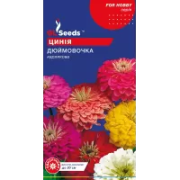 Цинія Дюймовочка 0,25г  GL Seeds