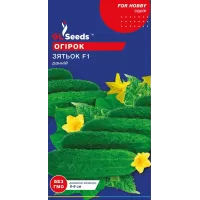 Огірок Зятьок 10шт GL Seeds