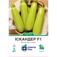 Кабачок Іскандер 5шт  Спектр Сад