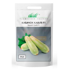Кабачок Кавілі 30шт Професійне насіння