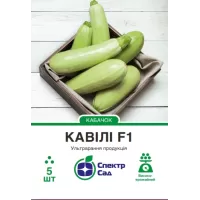 Кабачок Кавілі 5шт  Спектр Сад