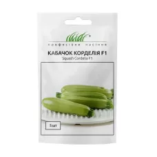 Кабачон Корделіяі 5шт Професійне насіння