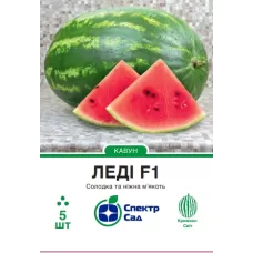 Кавун Леді F1  5шт  Спектр Сад