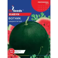 Кавун Вогник 10г  GL Seeds