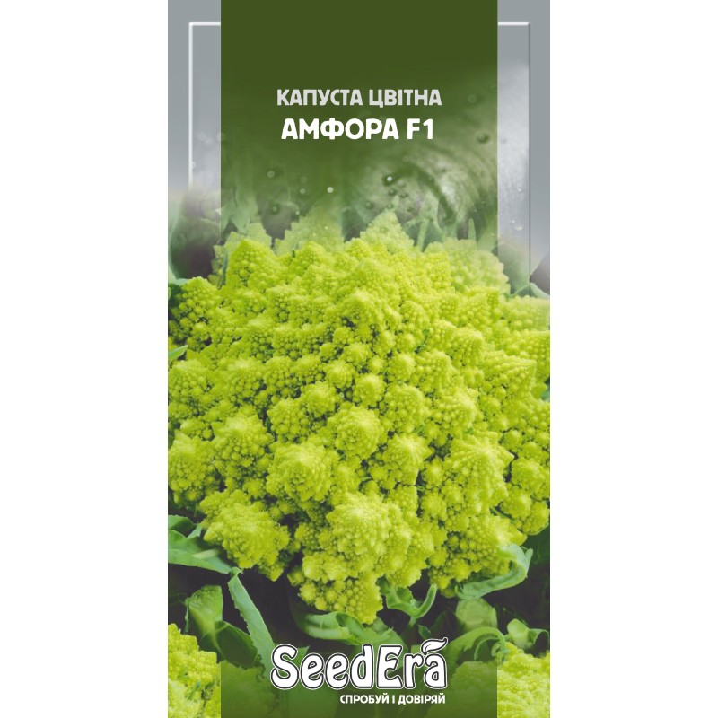 Капуста цвітна Амфора 30шт SeedEra