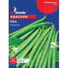 Квасоля спаржева Ява зелена 15 г  GL Seeds