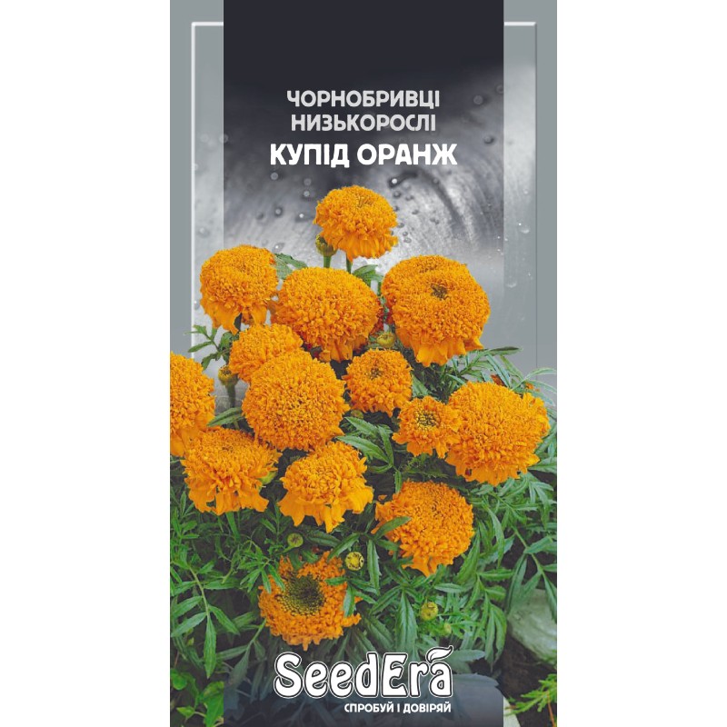 Чорнобривці низькорослі Купід оранж 0,5г SeedEra