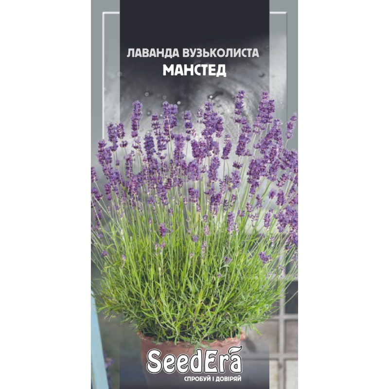 Лаванда вузьколиста Манстед 0,1г SeedEra