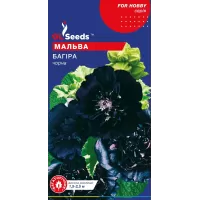Мальва Багіра чорна 0,5г  GL Seeds