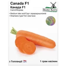Морква Канада F1 1грам Best Kern