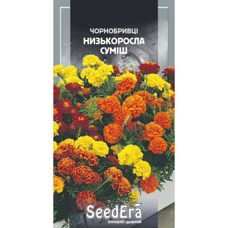 Чорнобривці низьк. Низькорослі Суміш 0.5г