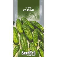 Огірок Кущовий 1 г SeedEra