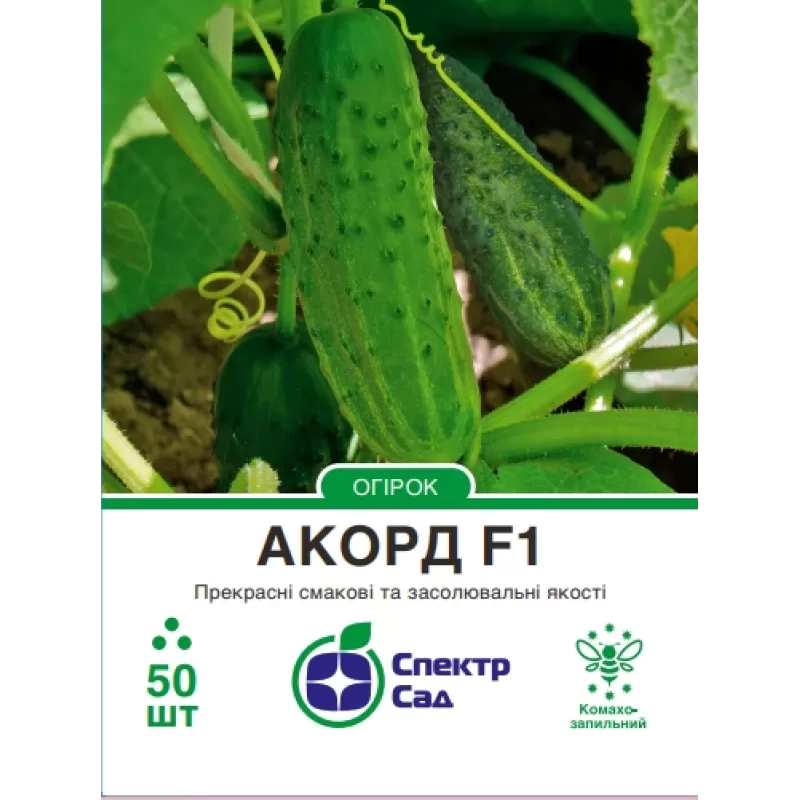 Огірок Акорд F1 корнішон 50шт  Спектр Сад