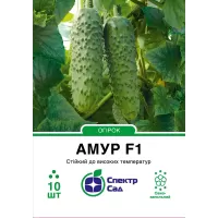 Огірок Амур F1 10шт  Спектр Сад