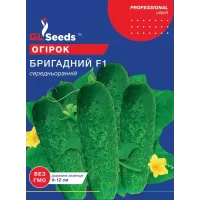 Огірок Бригадний 5 г  GL Seeds
