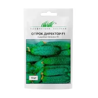 Огірок Директор F1 10шт Професійне насіння