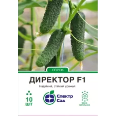 Огірок Директор F1 10шт  Спектр Сад