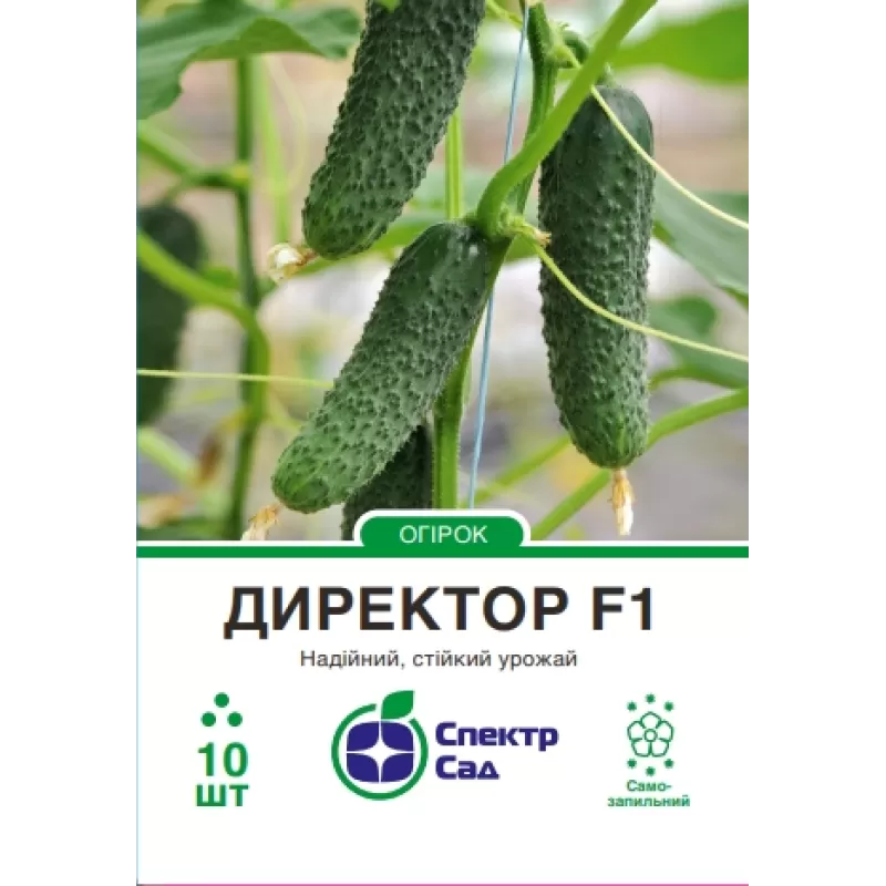 Огірок Директор F1 10шт  Спектр Сад