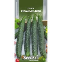 Огірок Китайське Диво 10шт SeedEra