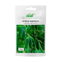 Огірок Кібрія F1 10шт Професійне насіння