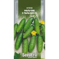 Огірок Мальчик з Пальчик F1 10шт.SeedEra