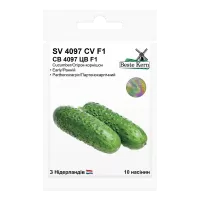 Огірок СВ 4097 ЦВ F1 10шт Best Kern