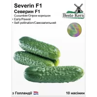 Огірок Северин F1 10шт Best Kern