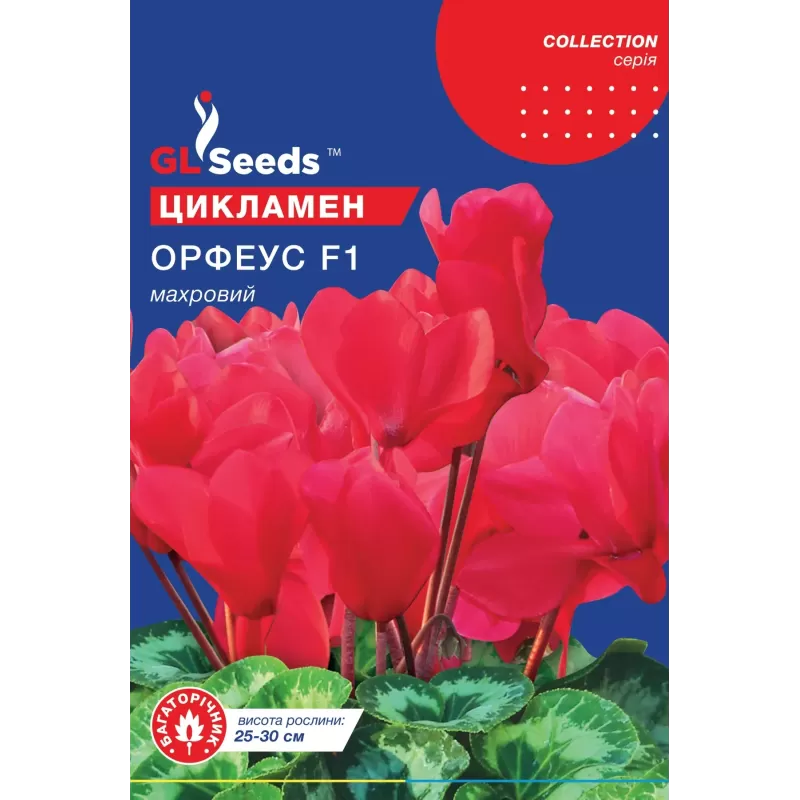 Цикламен Орфеус F1 5шт  GL Seeds