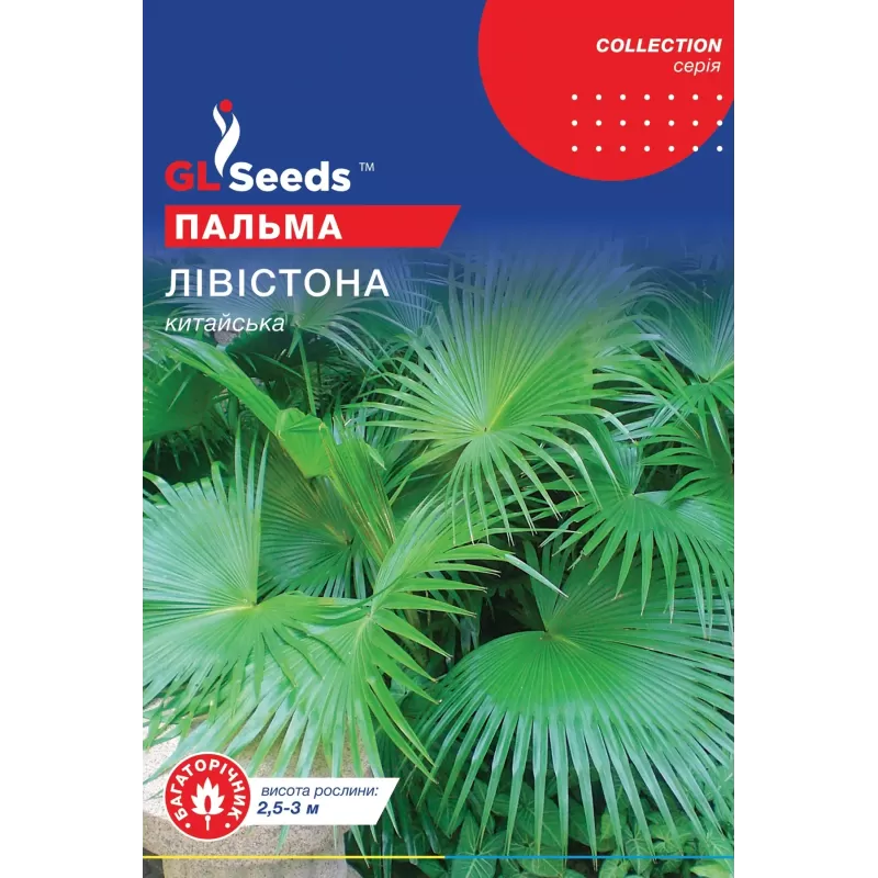 Пальма Лівістона 5шт  GL Seeds
