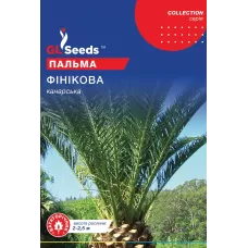 Пальма Фінікова 5шт  GL Seeds
