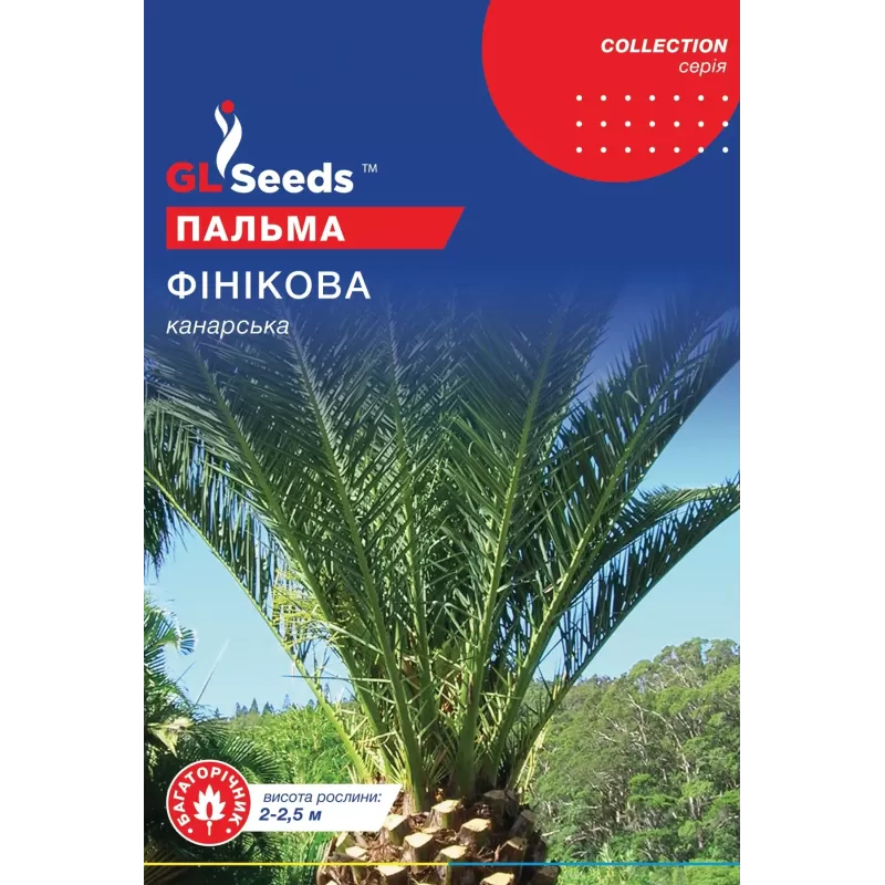Пальма Фінікова 5шт  GL Seeds