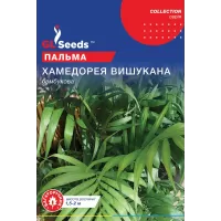 Пальма Хамедорея 5шт  GL Seeds