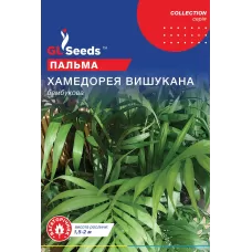 Пальма Хамедорея 5шт  GL Seeds