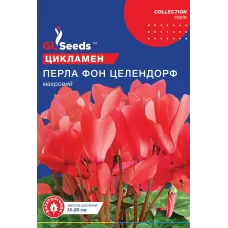 Цикламен Перла Фон Целендорф 5шт  GL Seeds