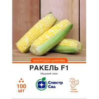 Кукурудза Ракель100шт  Спектр Сад