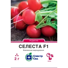 Редиска Селеста F1 2г  Спектр Сад