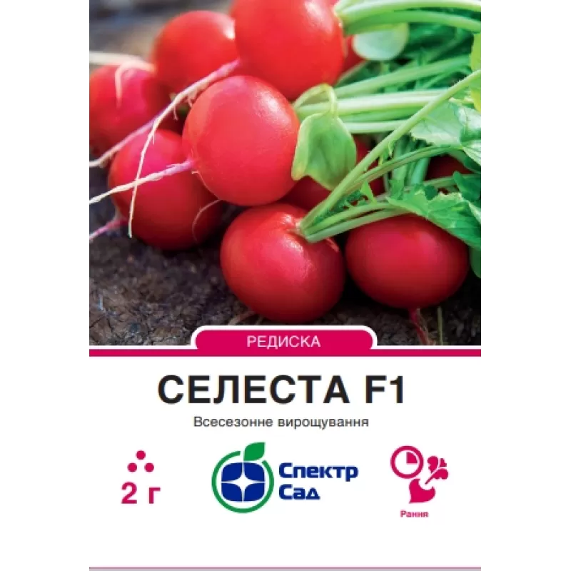 Редиска Селеста F1 2г  Спектр Сад