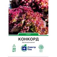 Салат Конкорд  30шт  Спектр Сад