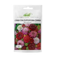 Скабіоза пурпурова суміш 0.2г  Професійне насіння