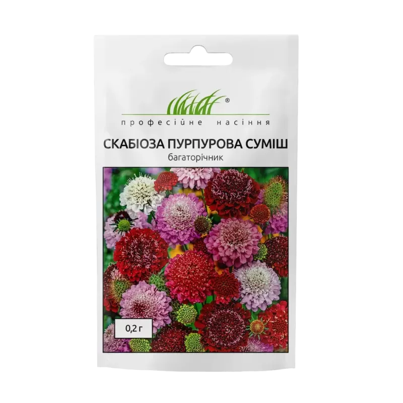 Скабіоза пурпурова суміш 0.2г  Професійне насіння